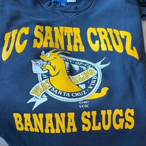 University of California Santa Cruz Cotton Sweatshirt